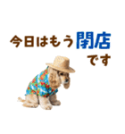 アメコカの夏スタンプ☀️（個別スタンプ：24）