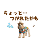 アメコカの夏スタンプ☀️（個別スタンプ：28）