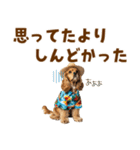 アメコカの夏スタンプ☀️（個別スタンプ：29）