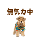 アメコカの夏スタンプ☀️（個別スタンプ：32）