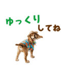 アメコカの夏スタンプ☀️（個別スタンプ：33）