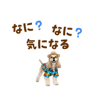 アメコカの夏スタンプ☀️（個別スタンプ：35）