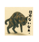 サビ猫しずくちゃんスタンプ3（個別スタンプ：7）