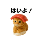 お寿司猫（個別スタンプ：11）
