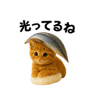 お寿司猫（個別スタンプ：17）