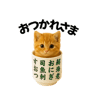 お寿司猫（個別スタンプ：24）
