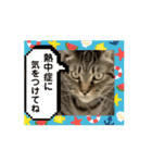 ハッピー＆ラッキー ⑦（個別スタンプ：1）
