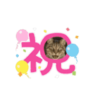 ハッピー＆ラッキー ⑦（個別スタンプ：8）