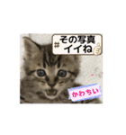 ハッピー＆ラッキー ⑦（個別スタンプ：14）