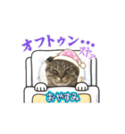 ハッピー＆ラッキー ⑦（個別スタンプ：16）