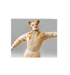 踊るハムスターさん（個別スタンプ：3）