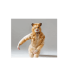 踊るハムスターさん（個別スタンプ：8）