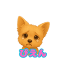 かわいい犬 もこ＆さらの日常スタンプ（個別スタンプ：13）