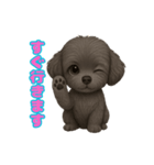 かわいい犬 もこ＆さらの日常スタンプ（個別スタンプ：21）
