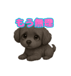 かわいい犬 もこ＆さらの日常スタンプ（個別スタンプ：24）