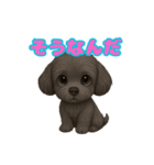 かわいい犬 もこ＆さらの日常スタンプ（個別スタンプ：25）