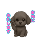 かわいい犬 もこ＆さらの日常スタンプ（個別スタンプ：31）