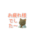 黒にゃんデカ文字✧いつもの挨拶（個別スタンプ：6）