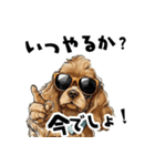 ロックで時々オネェな茶アメコカ（個別スタンプ：37）