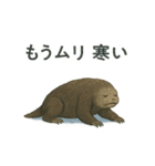 古代生物の気持ち（個別スタンプ：4）
