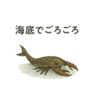 古代生物の気持ち（個別スタンプ：7）