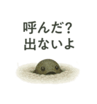 古代生物の気持ち（個別スタンプ：10）
