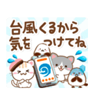 3D入り！大人のためのねこ夏の気遣い（個別スタンプ：21）