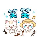 3D入り！大人のためのねこ夏の気遣い（個別スタンプ：33）