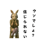 兎のカブリモノ乙女（個別スタンプ：13）