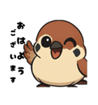 ふくら雀さん（個別スタンプ：1）