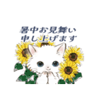 ドールな猫たちのスタンプ✳︎夏✳︎（個別スタンプ：1）