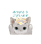 ドールな猫たちのスタンプ✳︎夏✳︎（個別スタンプ：7）