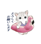 ドールな猫たちのスタンプ✳︎夏✳︎（個別スタンプ：8）
