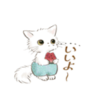 ドールな猫たちのスタンプ✳︎夏✳︎（個別スタンプ：11）