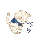 ドールな猫たちのスタンプ✳︎夏✳︎（個別スタンプ：12）