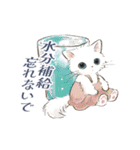 ドールな猫たちのスタンプ✳︎夏✳︎（個別スタンプ：14）