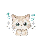 ドールな猫たちのスタンプ✳︎夏✳︎（個別スタンプ：17）