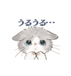 ドールな猫たちのスタンプ✳︎夏✳︎（個別スタンプ：18）