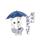 ドールな猫たちのスタンプ✳︎夏✳︎（個別スタンプ：25）