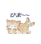 ドールな猫たちのスタンプ✳︎夏✳︎（個別スタンプ：33）