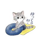 ドールな猫たちのスタンプ✳︎夏✳︎（個別スタンプ：37）
