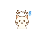 ネコくん每日使いやすいスタンプ（個別スタンプ：16）