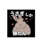 うさぎ飼い、うさぎ好きの為のスタンプ（個別スタンプ：8）