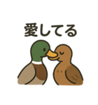 愛を伝える合鴨（個別スタンプ：1）