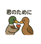 愛を伝える合鴨（個別スタンプ：3）
