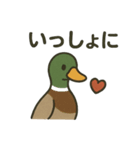 愛を伝える合鴨（個別スタンプ：4）