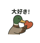 愛を伝える合鴨（個別スタンプ：8）