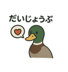 愛を伝える合鴨（個別スタンプ：9）