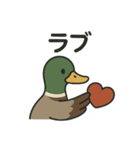 愛を伝える合鴨（個別スタンプ：10）
