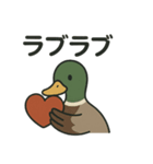 愛を伝える合鴨（個別スタンプ：11）